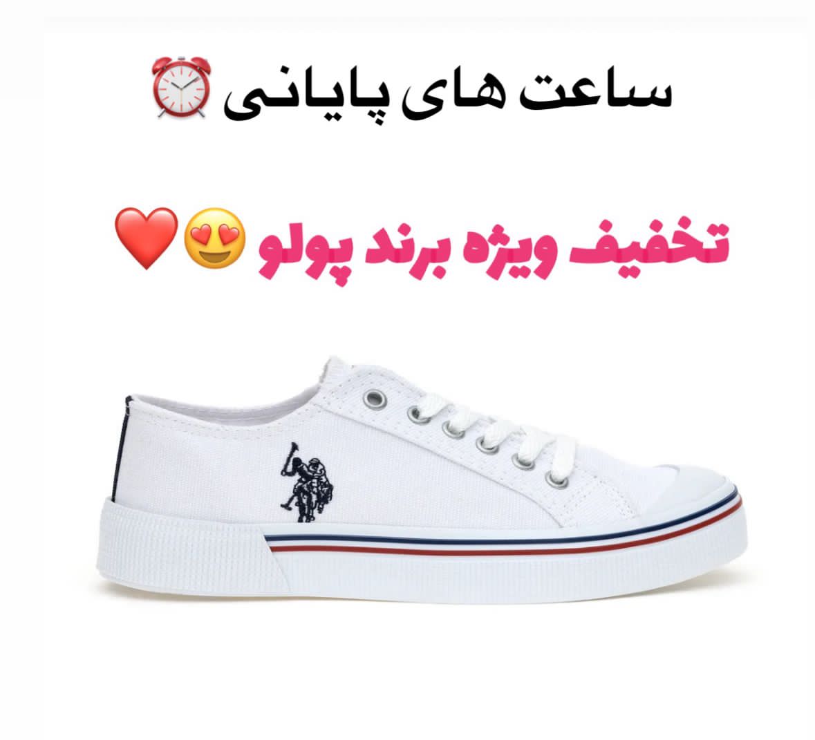 کفش US POLO